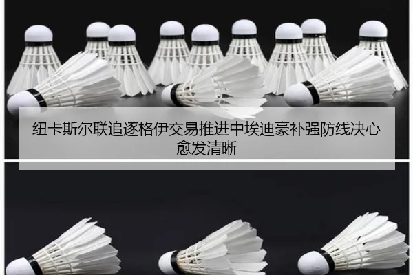 纽卡斯尔联追逐格伊交易推进中埃迪豪补强防线决心愈发清晰